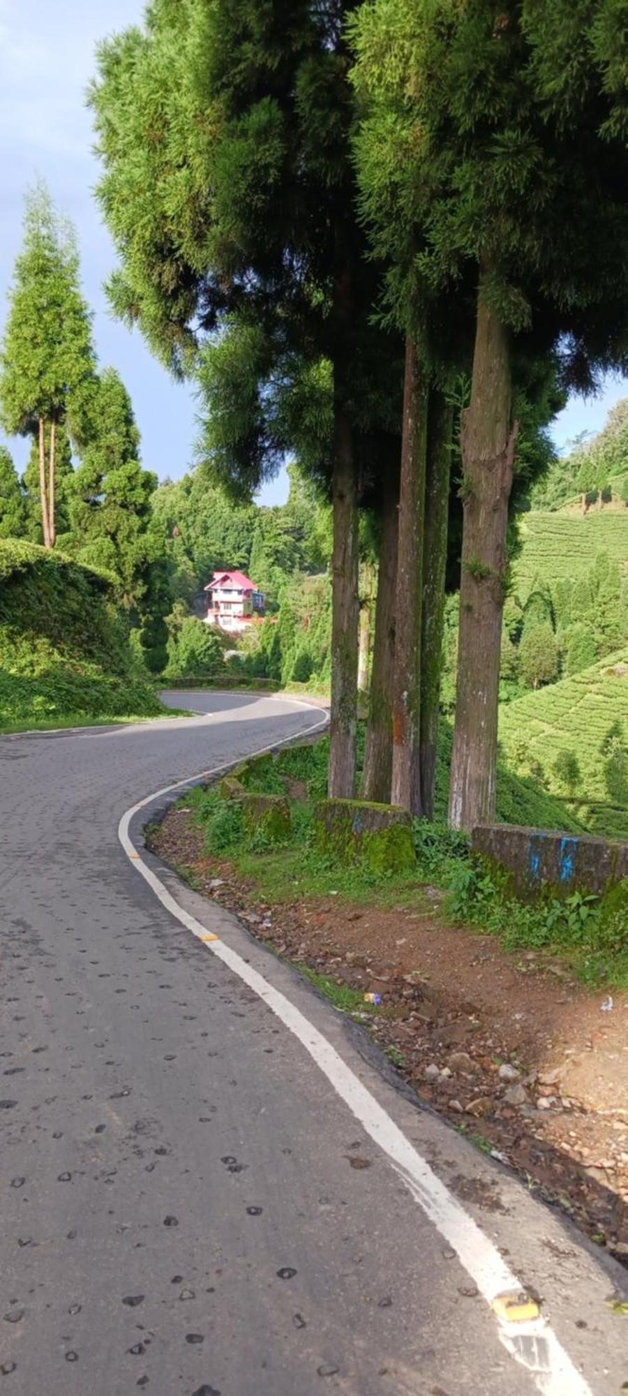 Lotus Homestay ダージリン エクステリア 写真